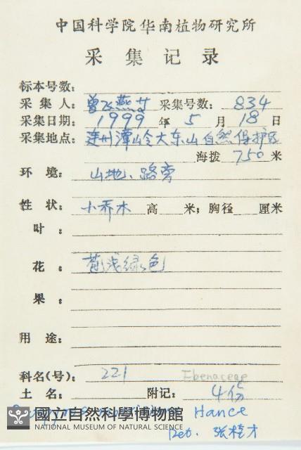 山紅柿藏品圖，第4張