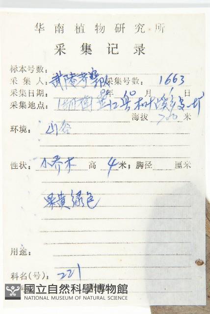 嶺南柿藏品圖，第5張