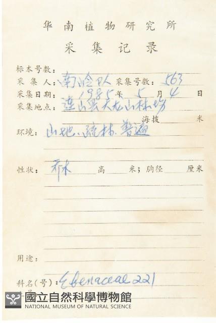 延平柿藏品圖，第5張