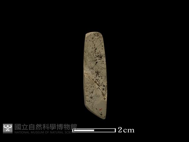 錛鑿形器藏品圖，第3張