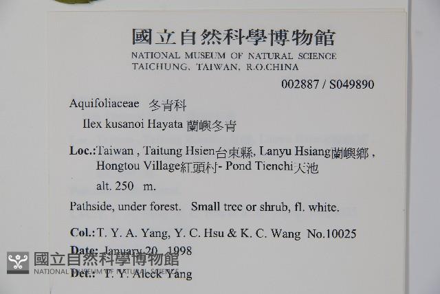 草野氏冬青藏品圖，第2張