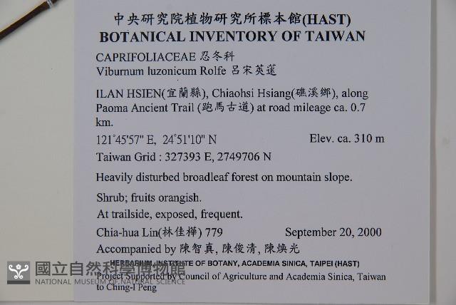 呂宋莢迷藏品圖，第2張