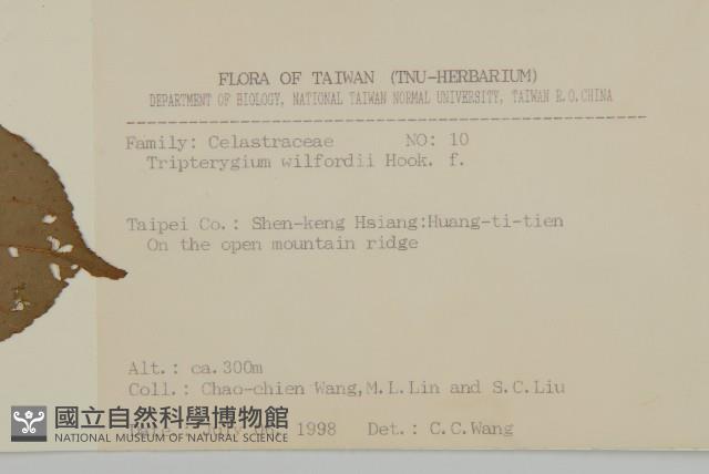 雷公藤藏品圖，第2張