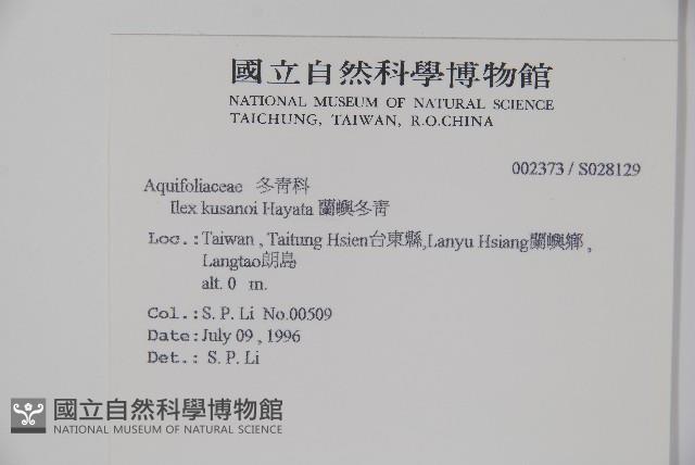 草野氏冬青藏品圖，第2張