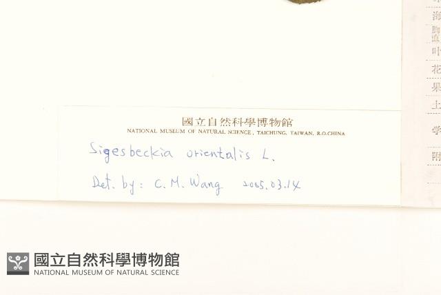 豨薟藏品圖，第3張