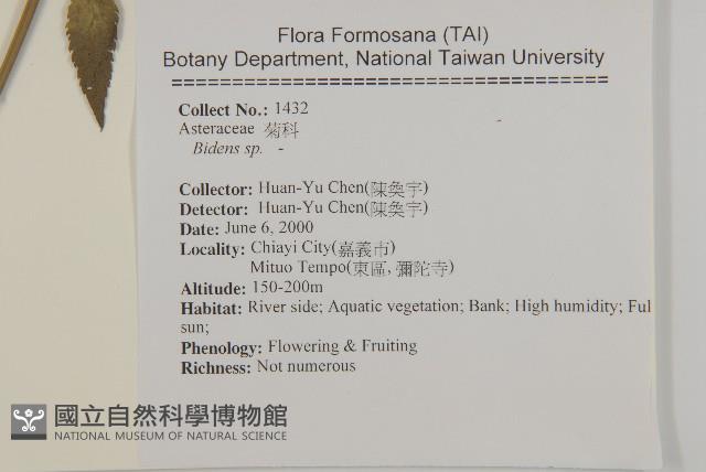 樹杞藏品圖，第2張