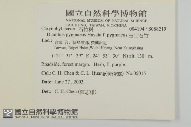 玉山石竹藏品圖，第2張