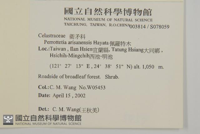 佩羅特木藏品圖，第2張