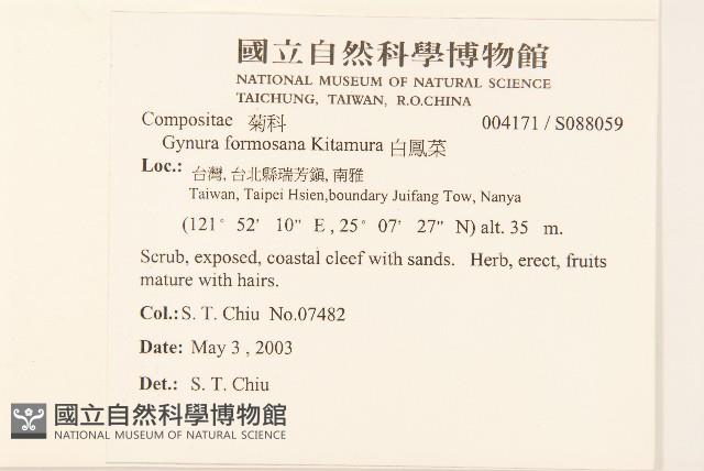 白鳳菜藏品圖，第2張