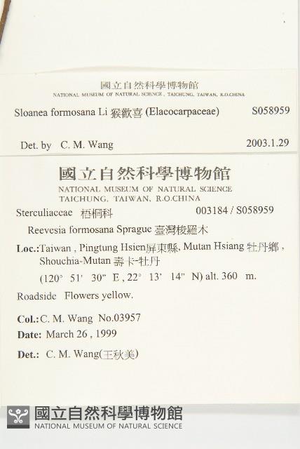 猴歡喜藏品圖，第2張