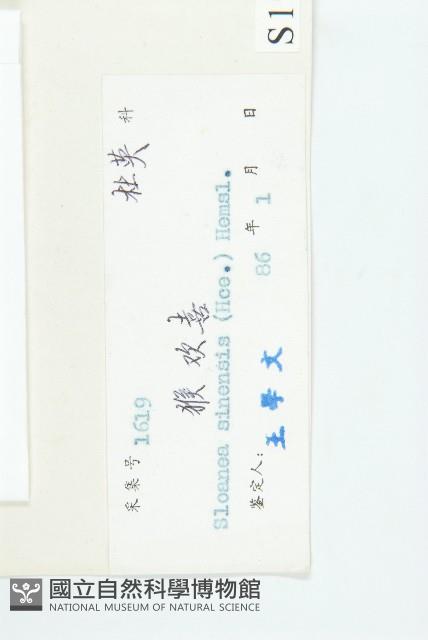 Accession Number:S019559 Collection Image, Figure 3, Total 3 Figures