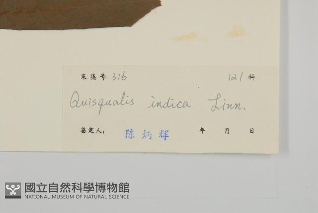 使君子藏品圖，第3張