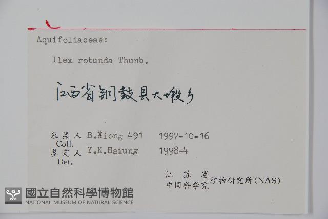 鐵冬青藏品圖，第2張