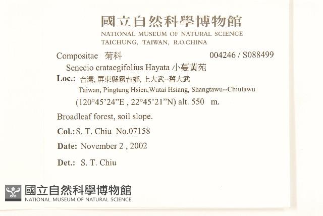 小蔓黃苑藏品圖，第2張