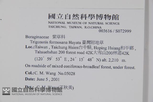 臺灣附地草藏品圖，第2張