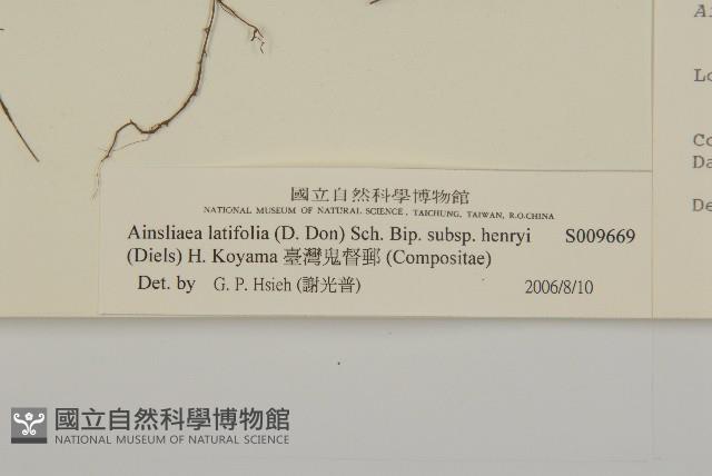 臺灣鬼督郵藏品圖，第3張