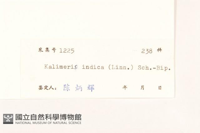 雞兒腸藏品圖，第3張