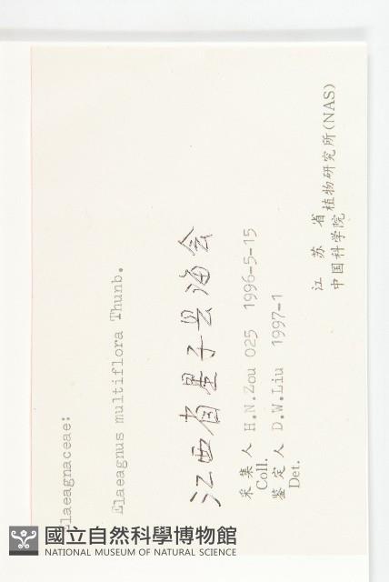 木半夏藏品圖，第3張