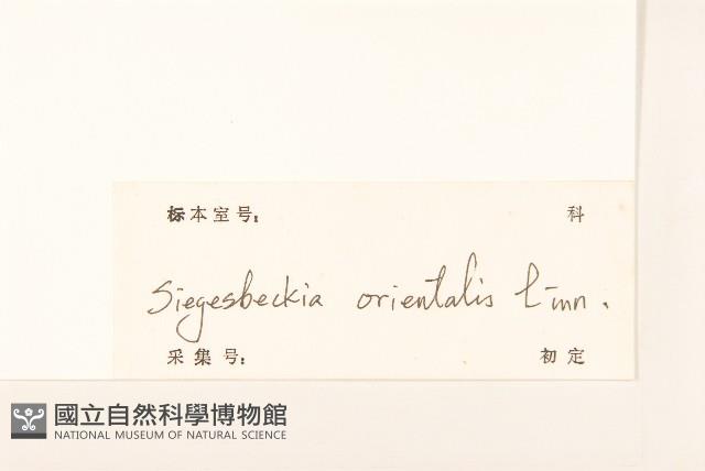 豨簽藏品圖，第3張