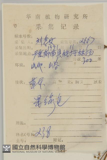 牡蒿藏品圖，第2張