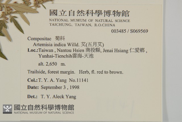 中南蒿藏品圖，第2張