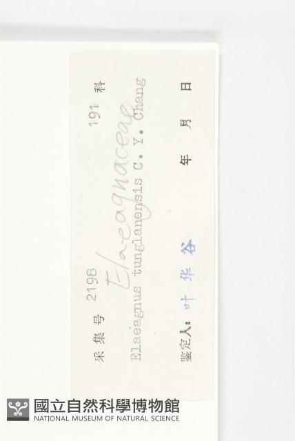 登錄號:S039249藏品圖，第3張