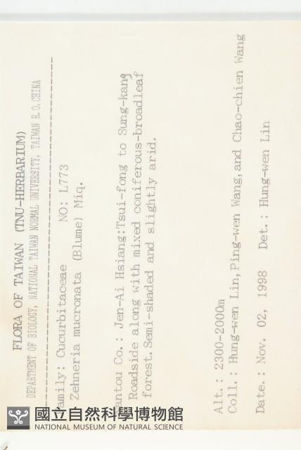 黑果馬交兒藏品圖，第2張