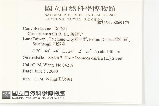 菟絲子藏品圖，第2張