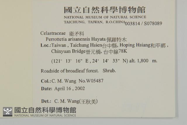 佩羅特木藏品圖，第2張