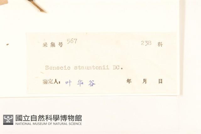 閩粵千里光藏品圖，第3張