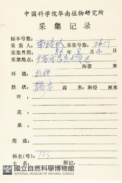 絞股藍藏品圖，第2張