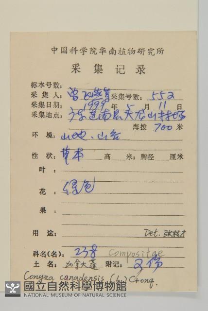 加拿大蓬藏品圖，第2張