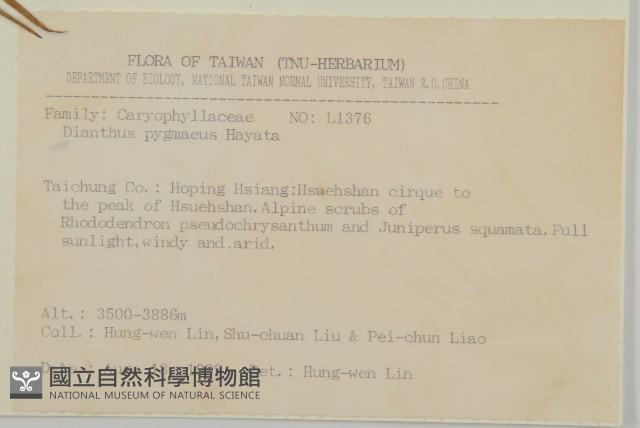 玉山石竹藏品圖，第2張