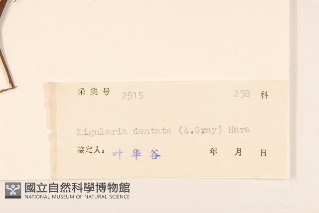 Accession Number:S039608 Collection Image, Figure 3, Total 3 Figures