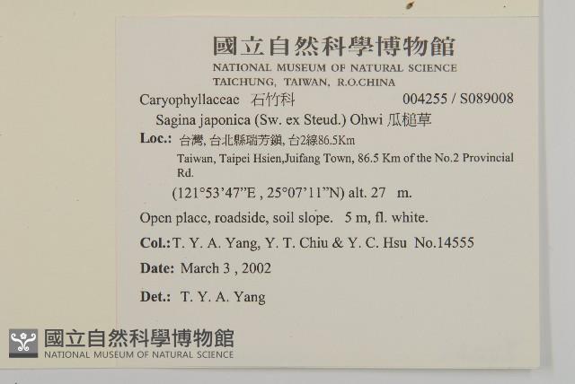 瓜槌草、漆姑草藏品圖，第2張