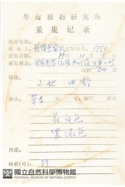 焊菜藏品圖，第2張