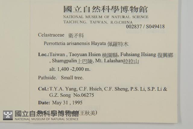 佩羅特木藏品圖，第2張