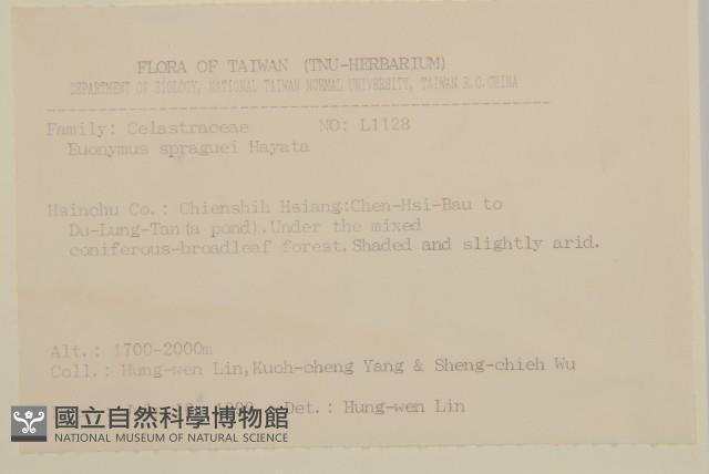 刺果衛矛藏品圖，第2張