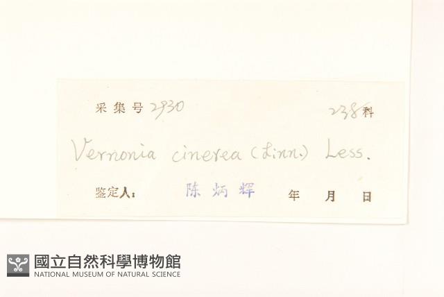 一枝香藏品圖，第3張