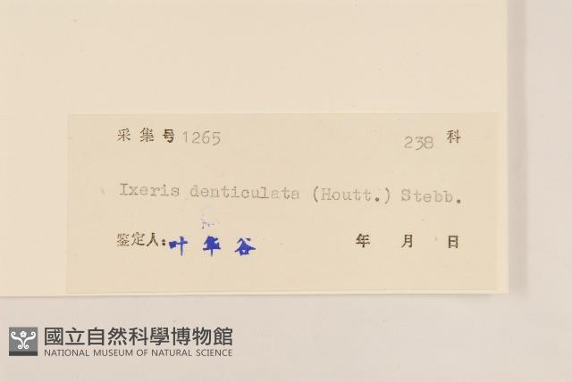 苦實菜藏品圖，第3張