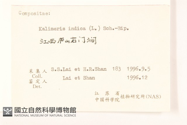 雞兒腸藏品圖，第3張