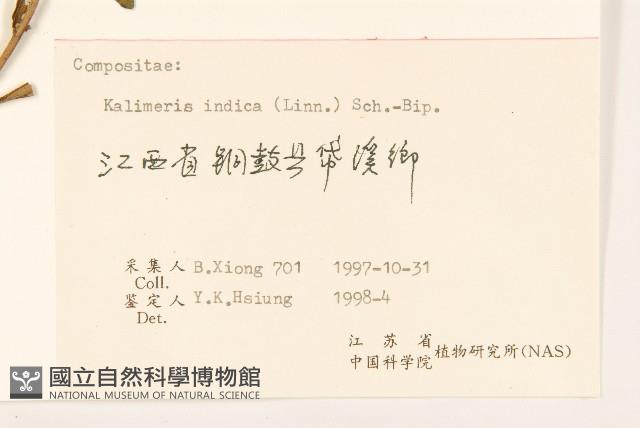 雞兒腸藏品圖，第3張