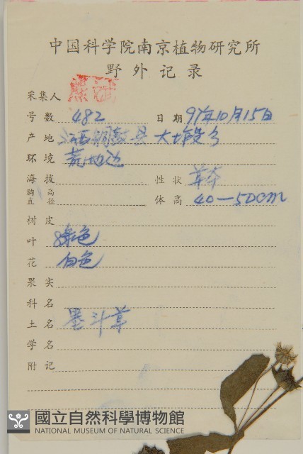鱧腸藏品圖，第2張