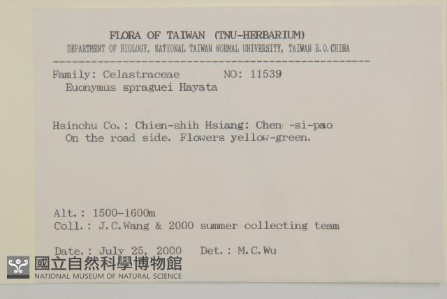 刺果衛矛藏品圖，第2張