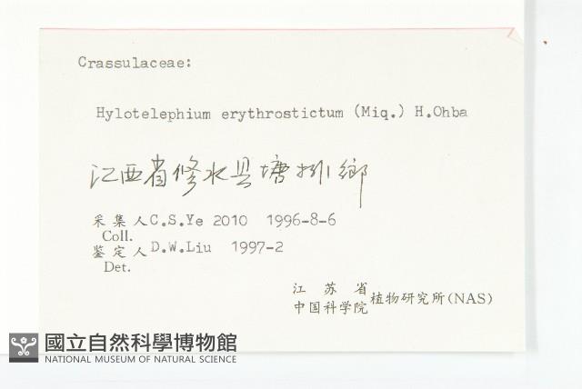 八寶藏品圖，第3張