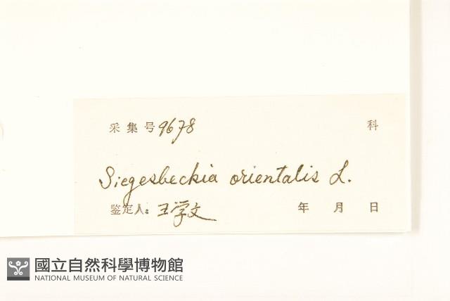 Accession Number:S038398 Collection Image, Figure 3, Total 3 Figures