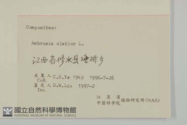 豬草藏品圖，第3張
