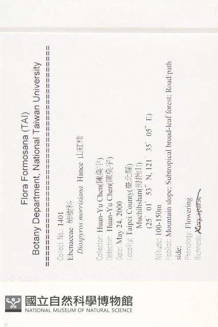 山紅柿藏品圖，第2張