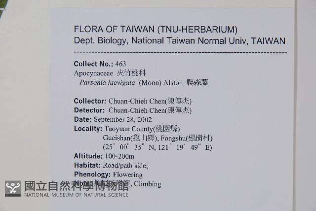 爬森藤藏品圖，第2張