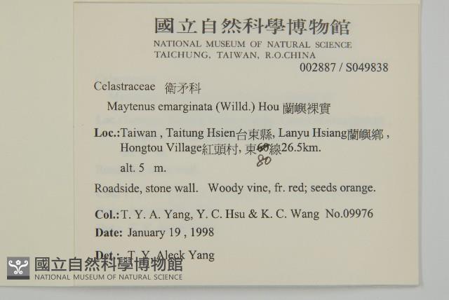 蘭嶼裸實藏品圖，第2張